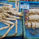 동성상회 이미지