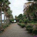 호근동-7 이미지