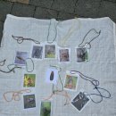 죽전체육공원 이미지