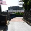 서귀동-5 이미지