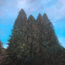 별밤미술관 in 신창 이미지