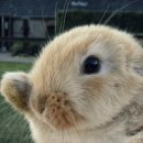 원진슈퍼 이미지