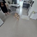 뜨란채크리닝 이미지