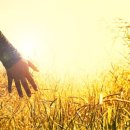 하늘빛정신건강의학과의원 이미지