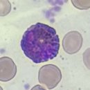 이동설대학원 | 서울대 NICEM 후기