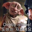 이즈프리