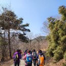 전남 담양군 불태산(720m).. 봄날의 그리움으로~.. 이미지