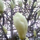 가르멜수도원 이미지