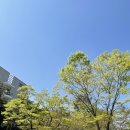 울주아카데미(나도 홈바리스타) 이미지