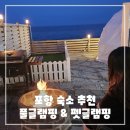 포항시남구37 | 포항 숙소 추천 - 풀글램핑 &amp; 펫글램핑 반려견 동반 가능 글램핑 후기