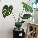 봉곡동366 이미지