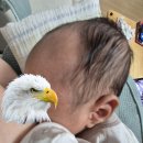 딩동세종 협동조합 | [내돈내산] 세종 산후도우미 케어믹스 후기