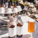 화이트 크로우 브루잉 이미지