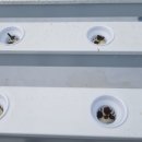 구주령 산채농원 이미지