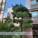 권선자이114공인중개사사무소 이미지