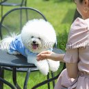 왕십리조은동물병원 이미지