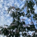 변산반도영농조합법인 이미지