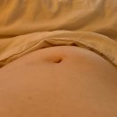 서오릉피자 산본점 | November 1. 안다르 레깅스/임산부 요가 등록/오이도/강원도 여행