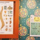 건강찾기안마원 이미지