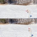 눈꽃마을 | 대관령 눈꽃마을 눈썰매장 방문 후기 / 30대도 겁나 재밌는 겨울 액티비티