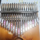 경기도지체장애인협회 파주시지회 | [장애인복지회 파주시지부] 지체장애인대상 칼림바교육