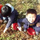 건강마을체험장 이미지