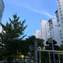 이마트24 광주동천1단지점 | [오키 부부] 4인 가족이 함께 살 수지 30평대 아파트 임장 후기 (예산 11억 전후)