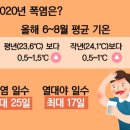 예일태권도장 이미지