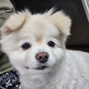 25.02.24~03.02 바쁘다 바빠 한 주 일상