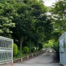 광명도덕산캠핑장 이미지