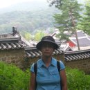 충남대학교 박물관 이미지