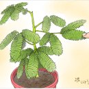 은혜작은도서관 네이버블로그