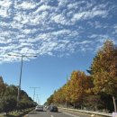 제일문구사 | 가을억새나들이🍂_[하이츠제주,까페제주당,클래식문구사]