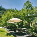 숲속카페브런치 이미지