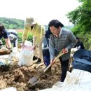 고령군청 이미지