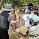 벨칸토 오페라 베스트 컬렉션 | [달서문화재단 뉴스레터] 달서레터 vol.12