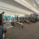 스파렉스 공릉 이미지