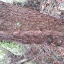 송담3로 이미지