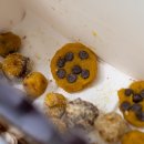 머드농수산체험마을 이미지