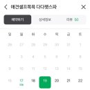 다다펫스파 이미지