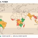 정커피 이미지