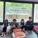 상희독스 아카데미 이미지