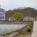 일월초등학교(청기분교) 이미지