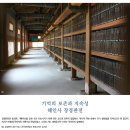 한양임업 | 화인火印을 지우고 푸른 생명을 짓다 / 한국수중발굴50주년과 신안선자단목 / 옥천암마애보살상 왜 흰...