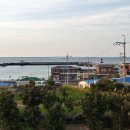 귀덕연대 이미지