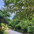 엔젤 식물원 이미지