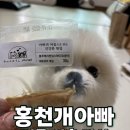 홍천떡갈비 | 강아지 여름 간식 추천 | 실온보관 가능한 홍천개아빠 한입스테이크 내돈내산