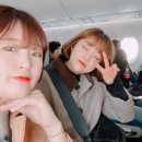 주시카페 앞 횡단보도 | 개도라버린 후쿠오카 1박 2일 여행행