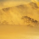 부산큰병원 이미지