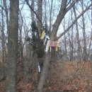 관산1로 이미지